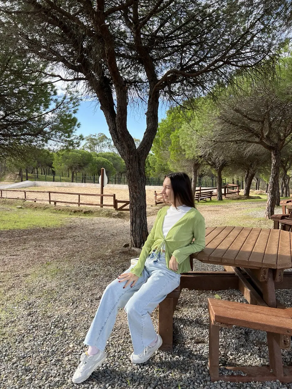 Picnic area under pine trees with a wooden table and open natural surroundings